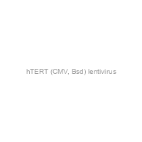 hTERT (CMV, Bsd) lentivirus